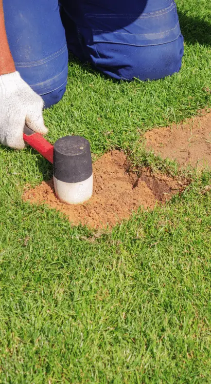 Installer setting a grass plug into prepared soil with a rubber mallet