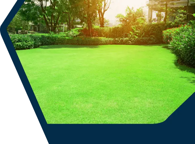 Green lawn banner, TurnKey Grass services