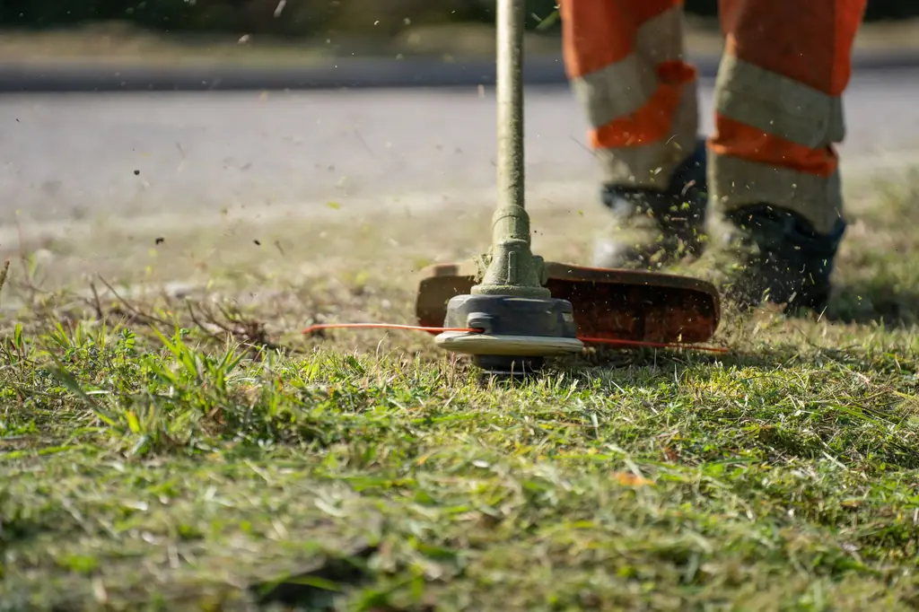 Crew member trimming a lawn edge with a string trimmer