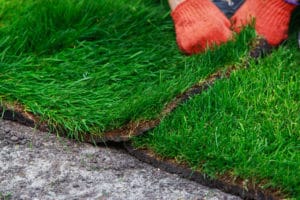 St. Rose, LA Grass Installation