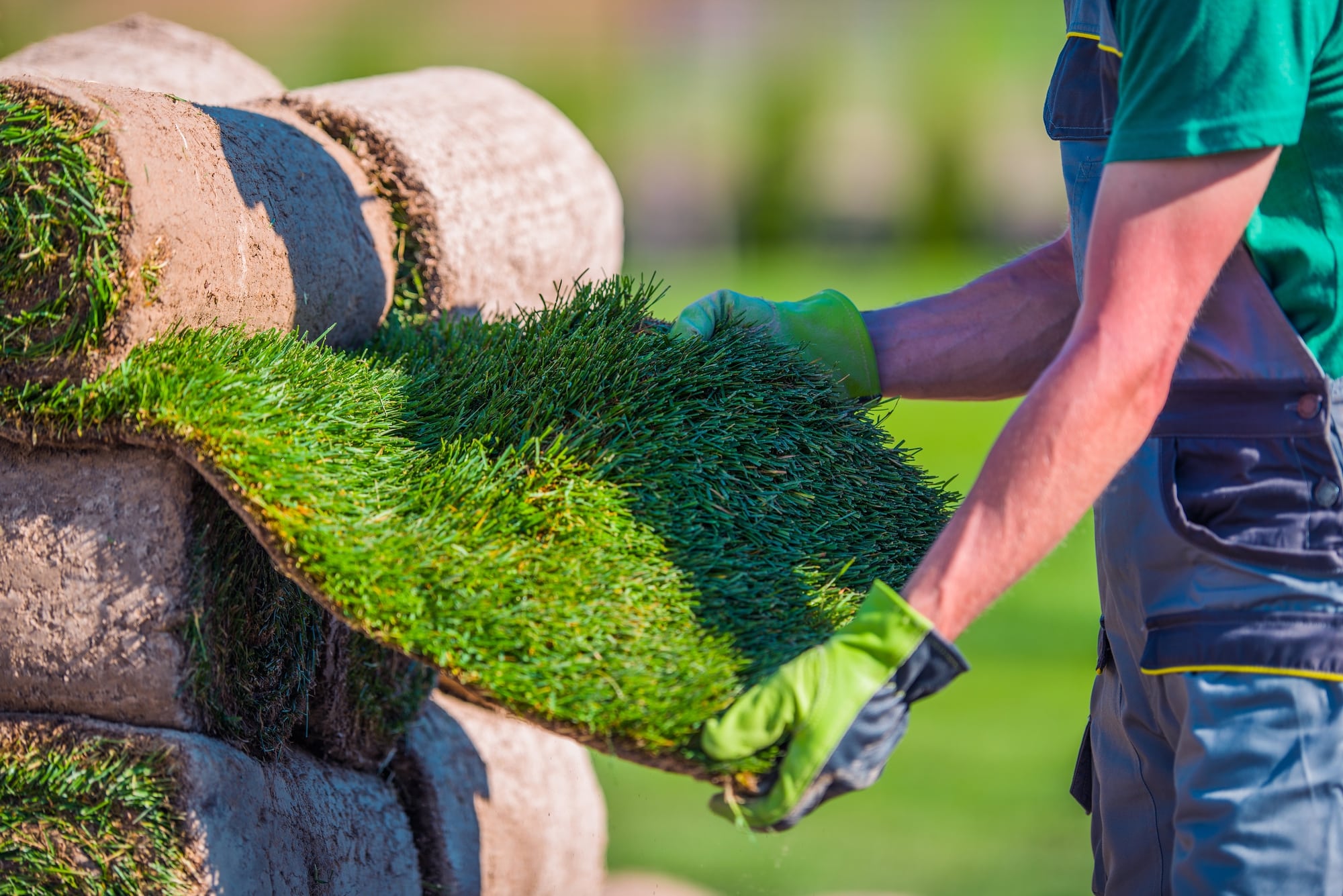 Grass Installation St. Rose