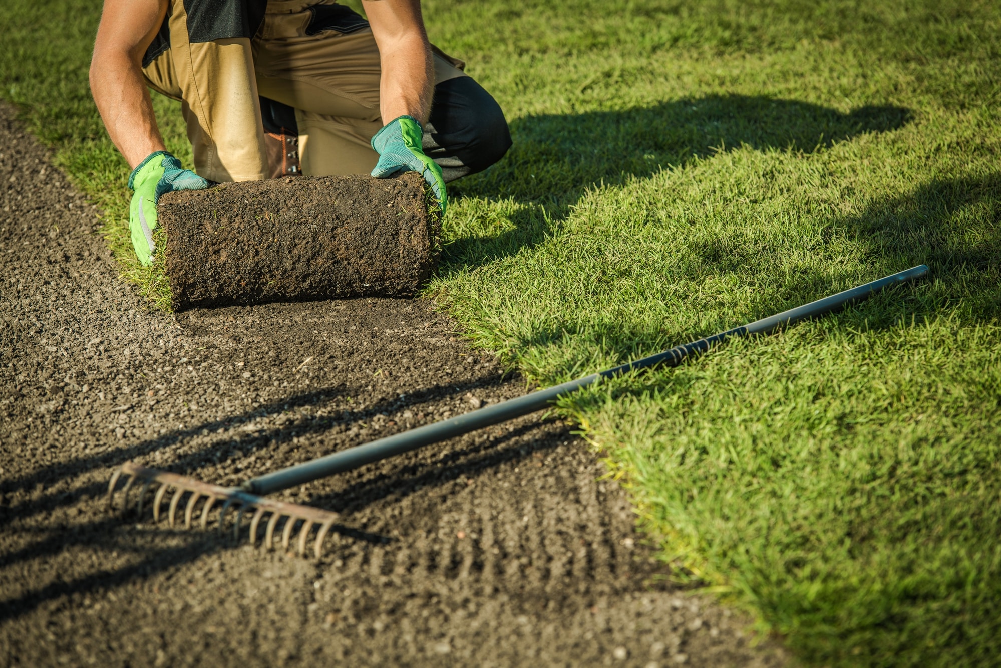 gardener laying turf