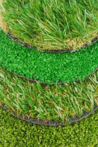 grass variety