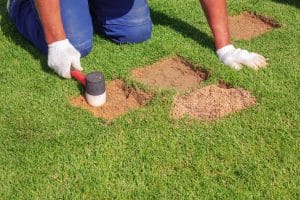 New Orleans Lawn Services