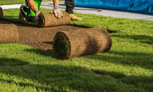 grass installation services