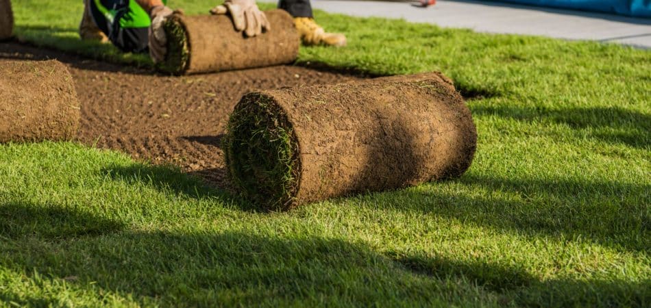 Grass installation services - Turnkey Grass