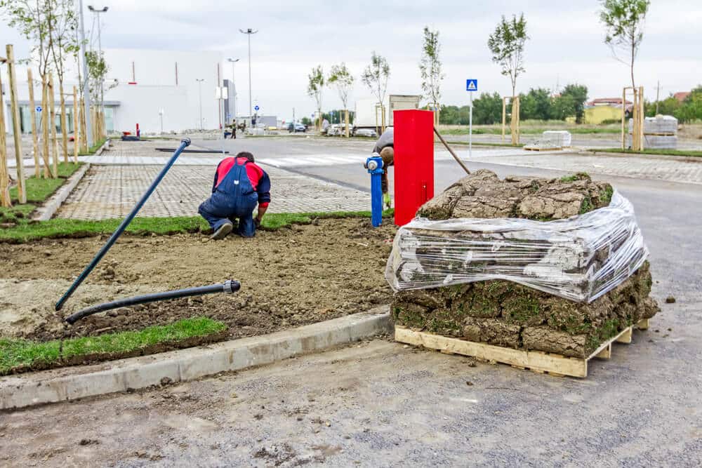 professional preparing site for grass installation