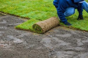 installing bermuda grass