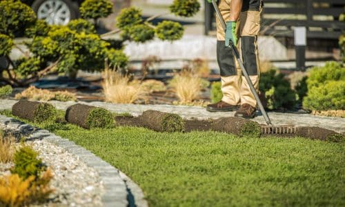 landscaping bermuda grass