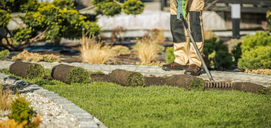 landscaping bermuda grass