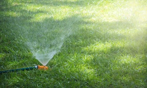 water sprinkler on bermuda grass