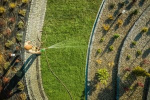 watering bermuda grass