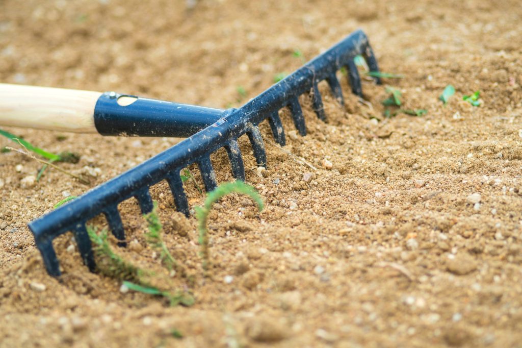 New Orleans Zoysia grass installers