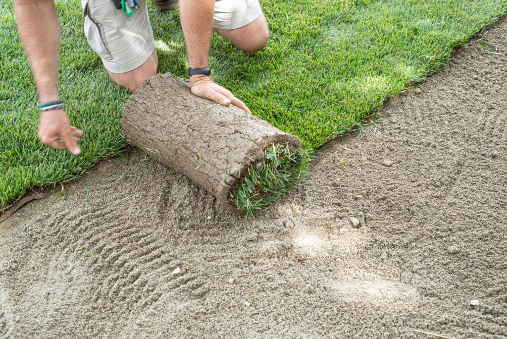 grass installation