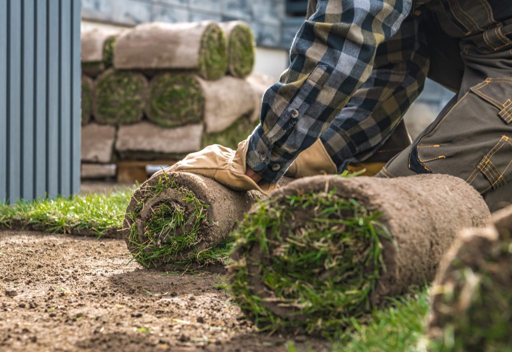 professional grass solutions