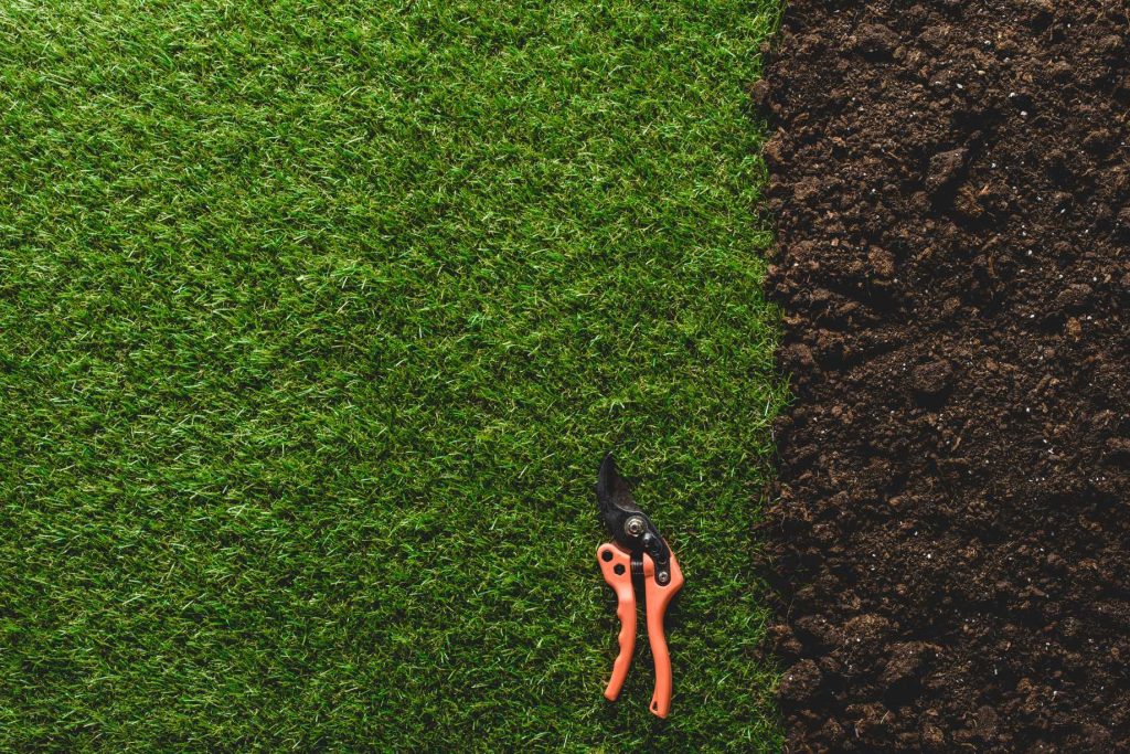 Healthy green grass meeting a strip of bare soil, with pruning shears lying on the lawn