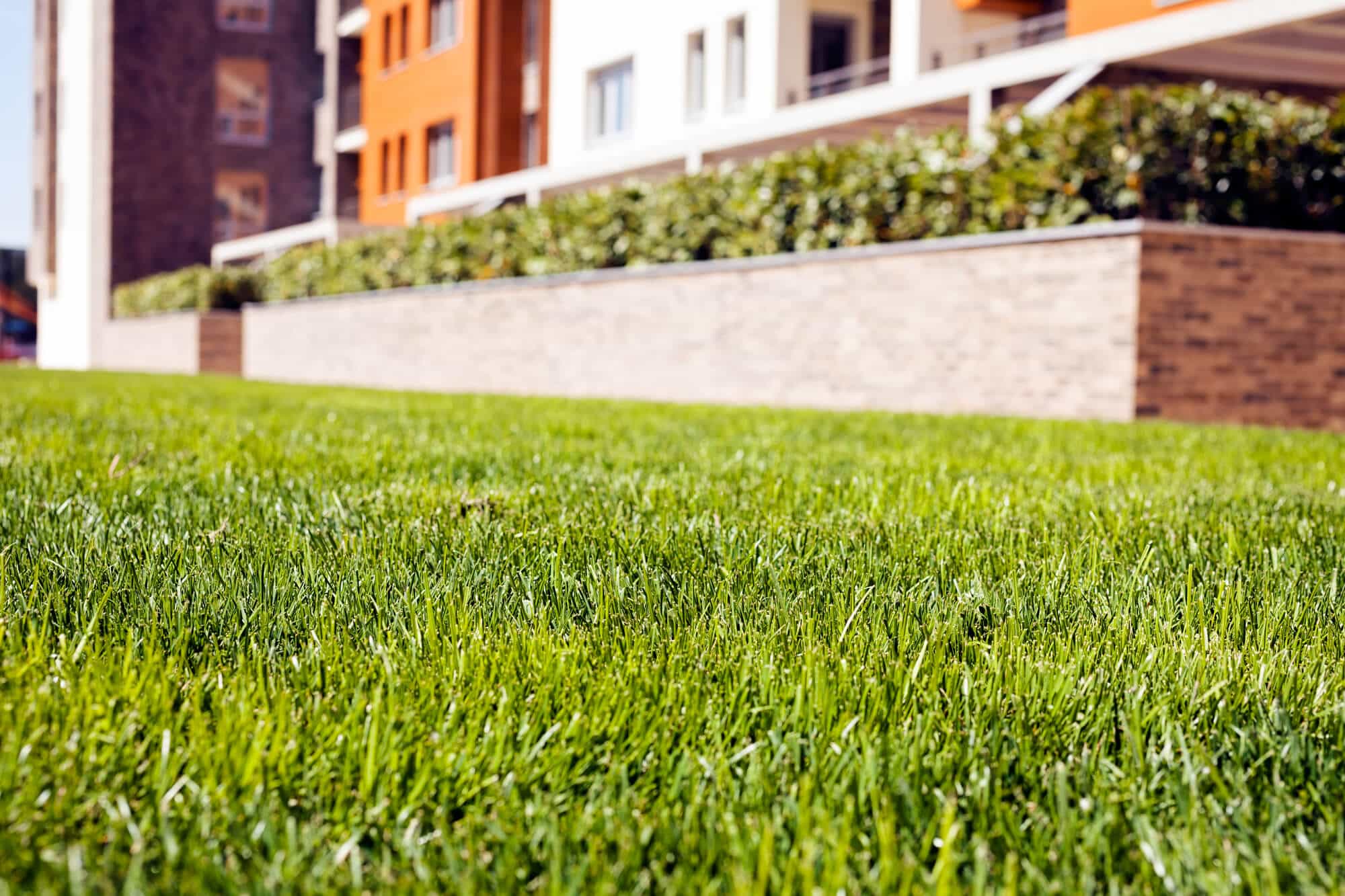 harahan grass company