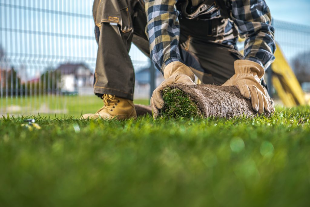grass installation service contractor