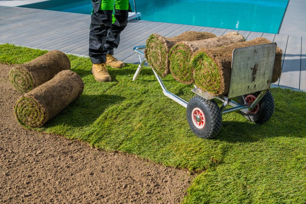 professional installation of grass rolls